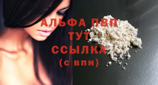 дживик Новозыбков