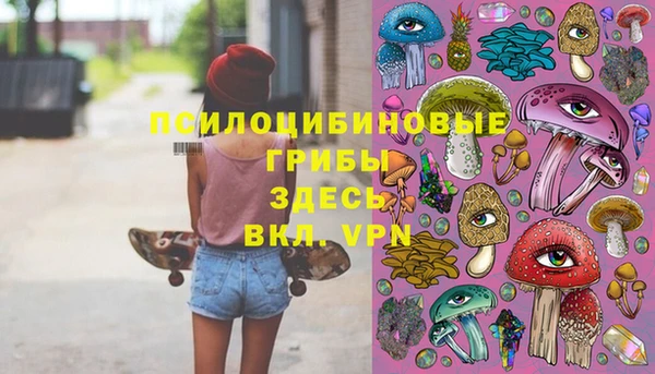 мет Новодвинск