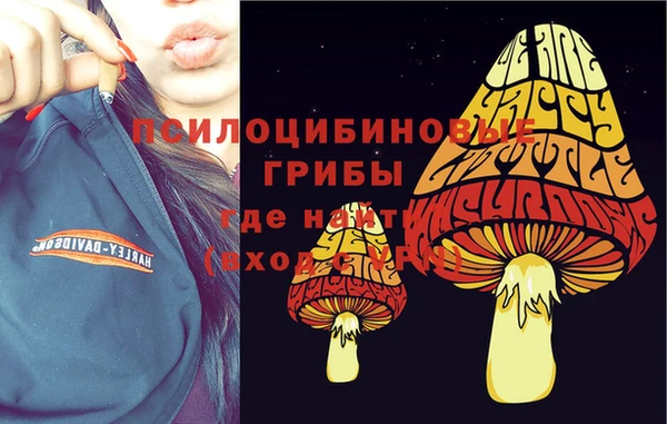 мет Новодвинск