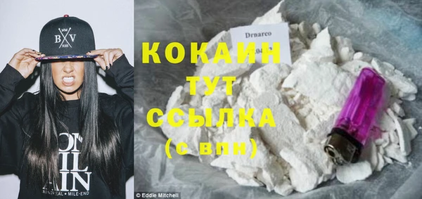 мет Новодвинск
